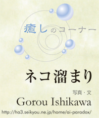 癒しのコーナー 冬の地蔵